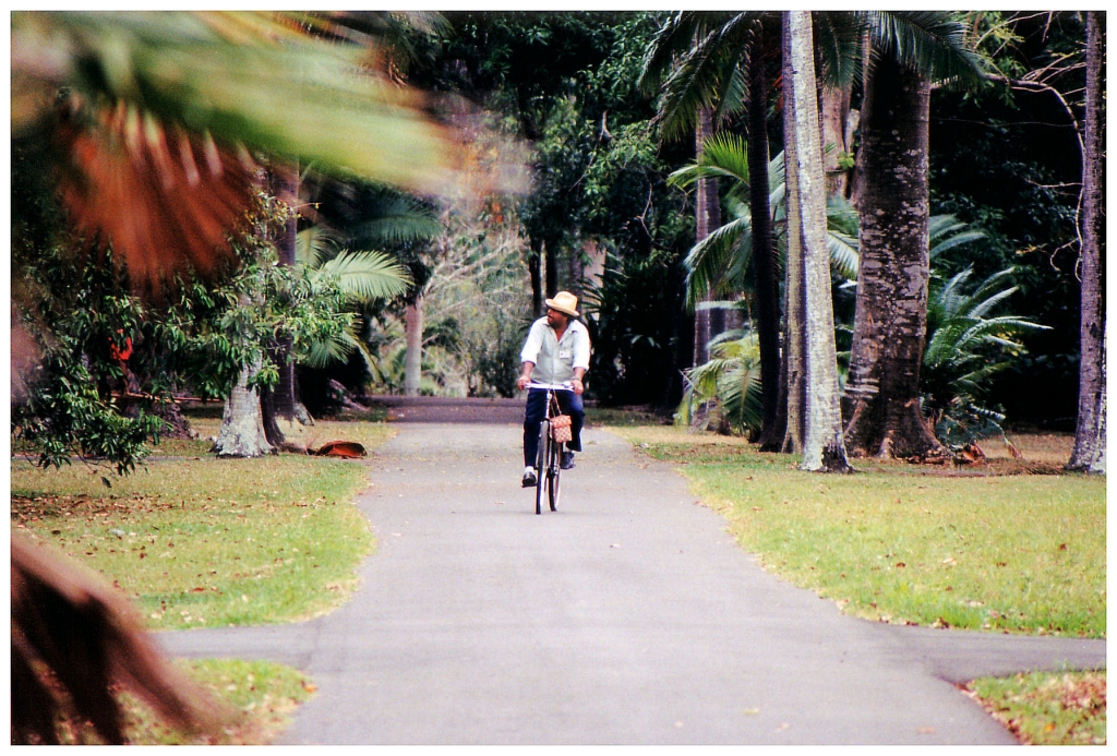 01 - Ile Maurice (15).jpg